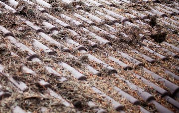 Goose Pool roof cleaning companies