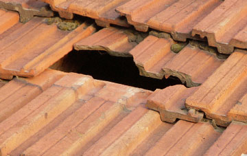 roof repair Goose Pool, Herefordshire